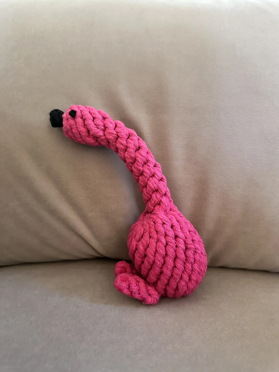 Braided Rope Dog Toy transformation - 18 AI-generated scenes - before